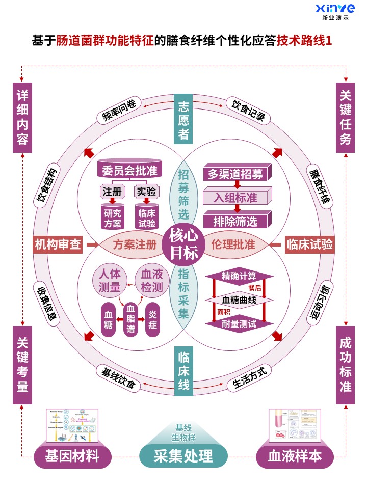 肠道菌群功能与膳食纤维个性化应答技术路线图案例