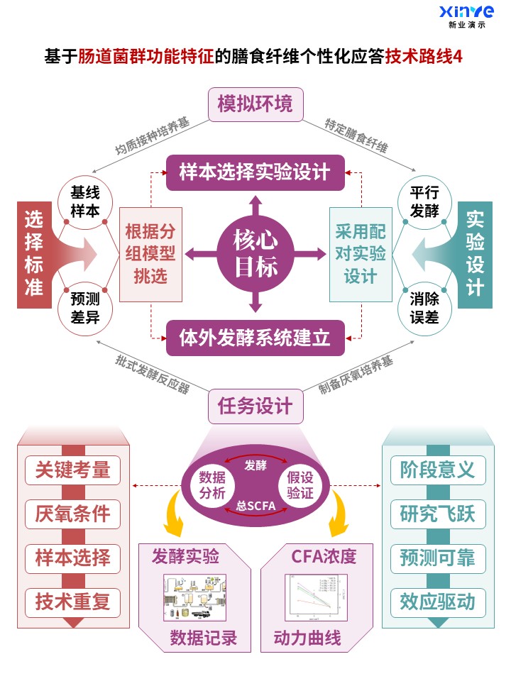 肠道菌群功能与膳食纤维个性化应答技术路线图4,体外发酵验证功能机制