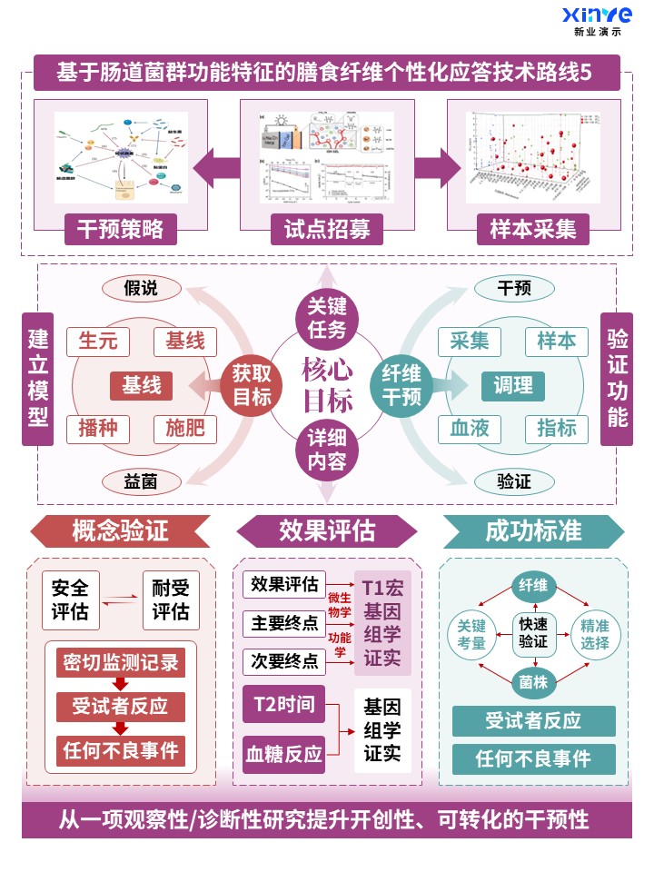 肠道菌群功能与膳食纤维个性化应答技术路线图5,精准干预概念验证