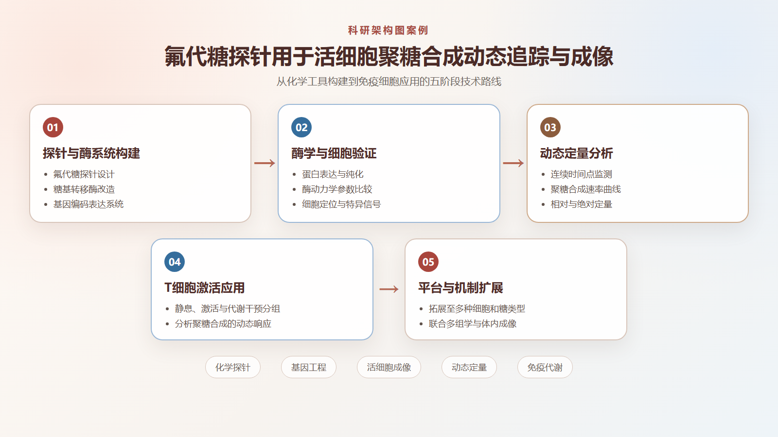 活细胞聚糖合成动态追踪技术路线图绘制示例